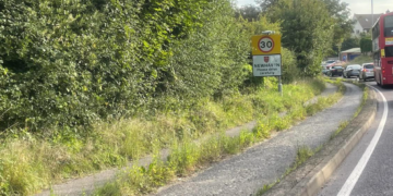 MP welcomes proposed repair of A259 cycle lane