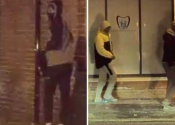 Crawley stabbing. Police appeal for witnesses.