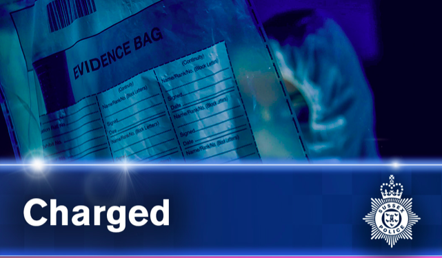 Man charged with multiple rapes in Horsham