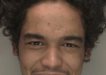 Man jailed for violence towards police officers