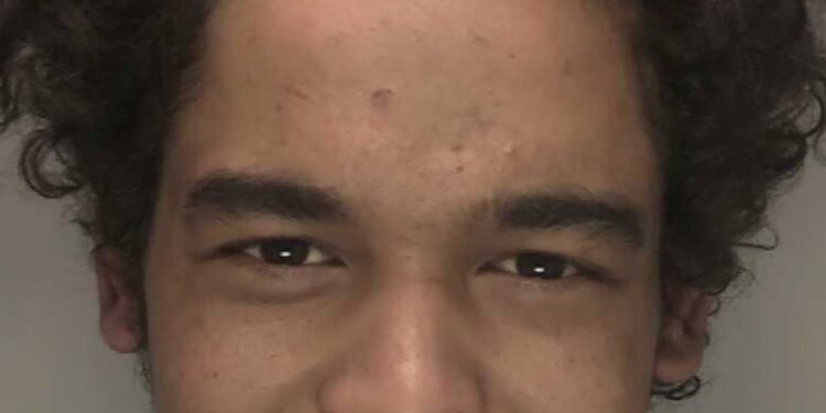 Man jailed for violence towards police officers