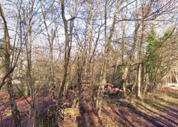 Man must pay more than £2,700 for damage to signs in Ashdown Forest