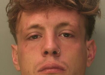 Judge jails burglar after two-week crime spree