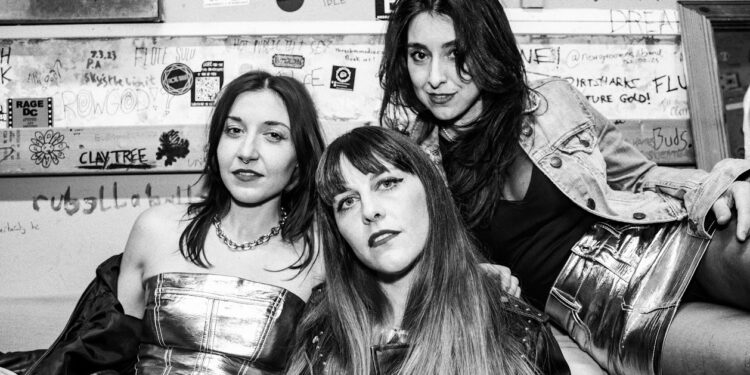 SMALLTOWN TIGERS at The Prince Albert, Brighton 10.2.24 (pic Cris Watkins) Italian punks Smalltown Tigers return to Brighton