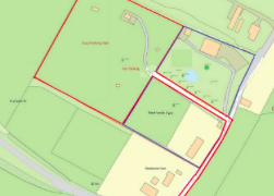 Secure dog-walking field in Wisborough Green approved