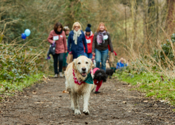 Cancer campaign sets dog owners a charity walkies challenge