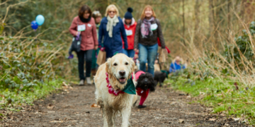 Cancer campaign sets dog owners a charity walkies challenge