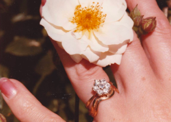 Appeal for witnesses after burglary near Rye