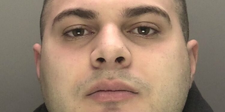 Hit and run driver jailed after leaving man for dead