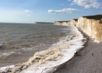 £100k funding for Sussex marine rewilding project