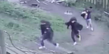 Police appeal after play equipment damaged in Hastings