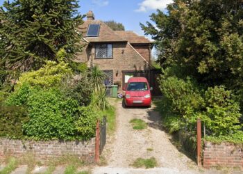 Animal rescue worker used fundraising money to buy out ex’s share of marital home