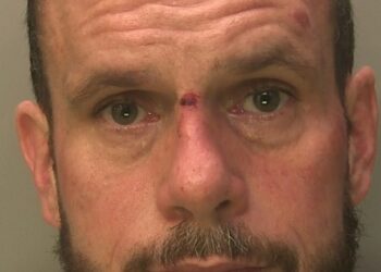 Sex attacker jailed after assault on brave police decoy