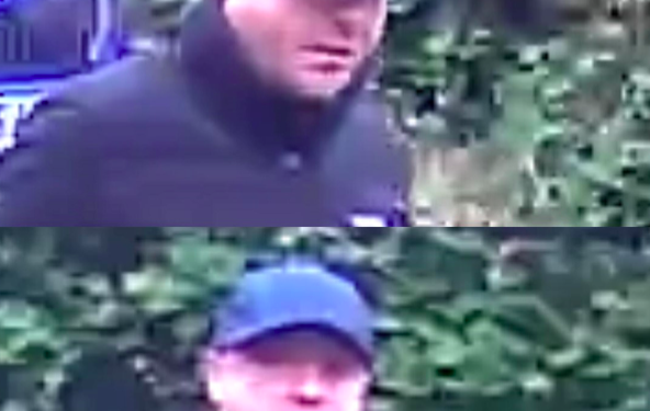 ID appeal after attempted Cowfold break-in