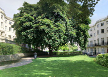 Robbery suspect due in court