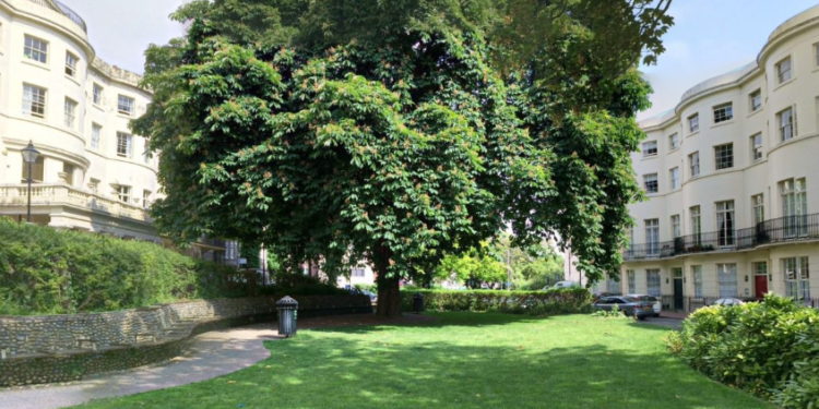 Robbery suspect due in court