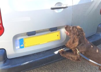 Counterfeit cigarettes land shopkeeper with £3k court bill
