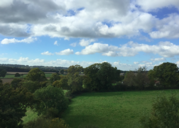 South Downs National Park’s nature initiative reaches big milestone