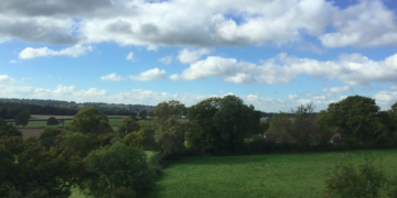 South Downs National Park’s nature initiative reaches big milestone