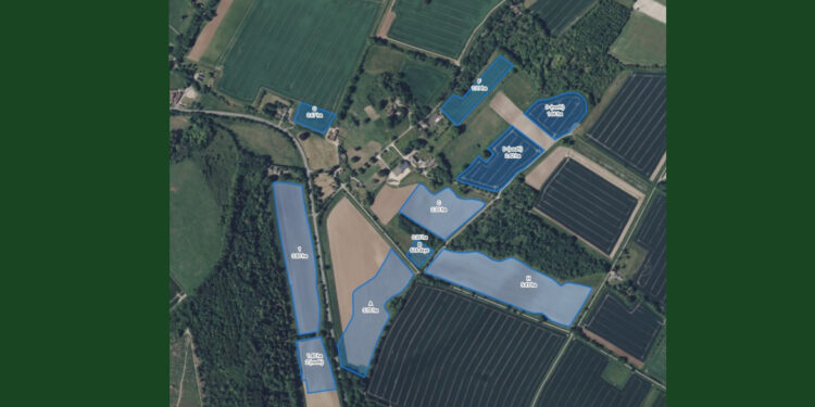 West Sussex scheme to cut nitrate levels in Chichester harbour