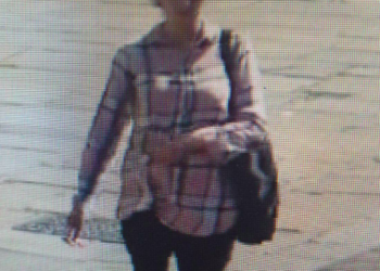 Police appeal after multiple mobile phone thefts in Sussex