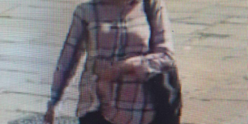 Police appeal after multiple mobile phone thefts in Sussex