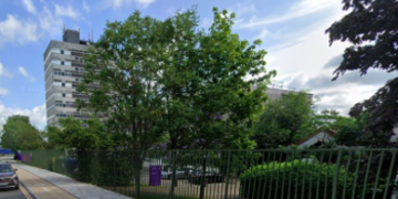 Crawley trees preservation orders confirmed