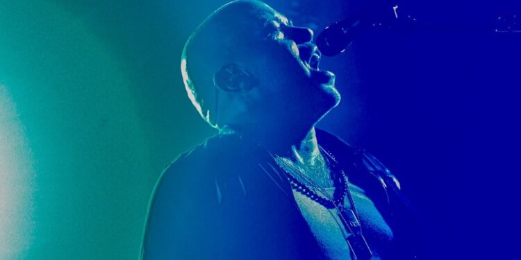 Ride soar with ‘Seagull’ in Brighton