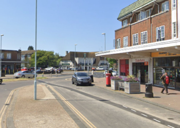 Police appeal for witnesses following dog attack on child