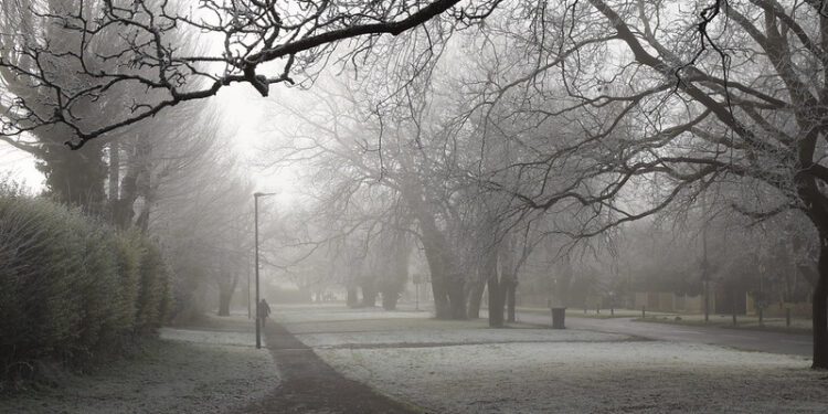 A frosty morning in Brighton. Image by Mark on Flickr Met Office warns of ice overnight
