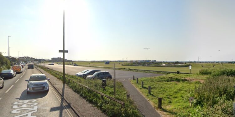 Dogwalker attacked by two bulldogs