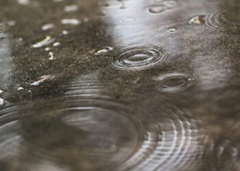 Up to 5cm of rain could fall in Sussex overnight