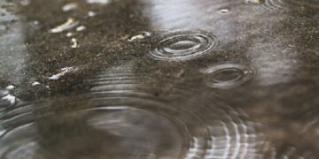 Up to 5cm of rain could fall in Sussex overnight