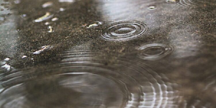 Up to 5cm of rain could fall in Sussex overnight