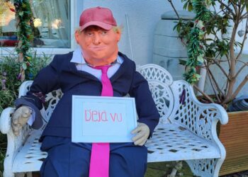 Have you seen Bert? Celebrity dummy’s owner appeals for his safe return