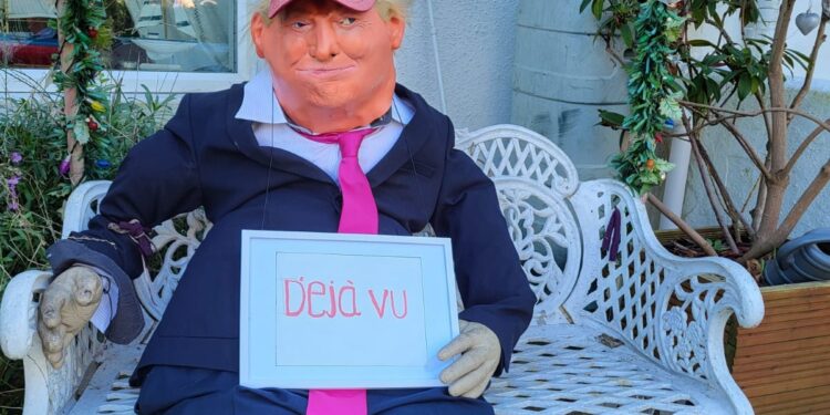 Have you seen Bert? Celebrity dummy’s owner appeals for his safe return