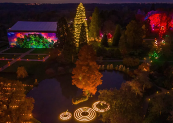 Storm Darragh hits Christmas events