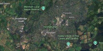 Horsham may need to build even more houses, government official warns