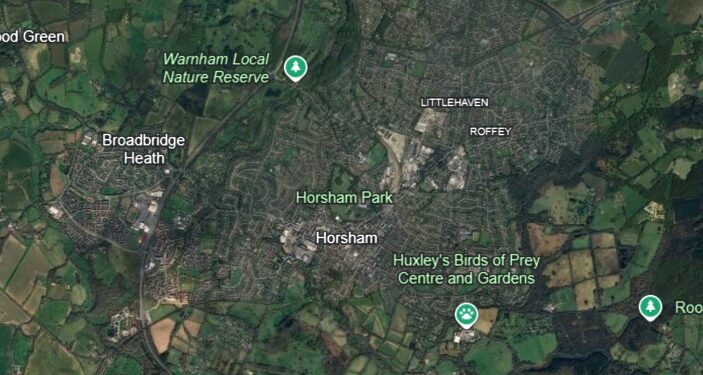 Horsham may need to build even more houses, government official warns