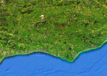 Top-tier Sussex councils push ahead with reorganisation plans which would see elections postponed and smaller councils scrapped