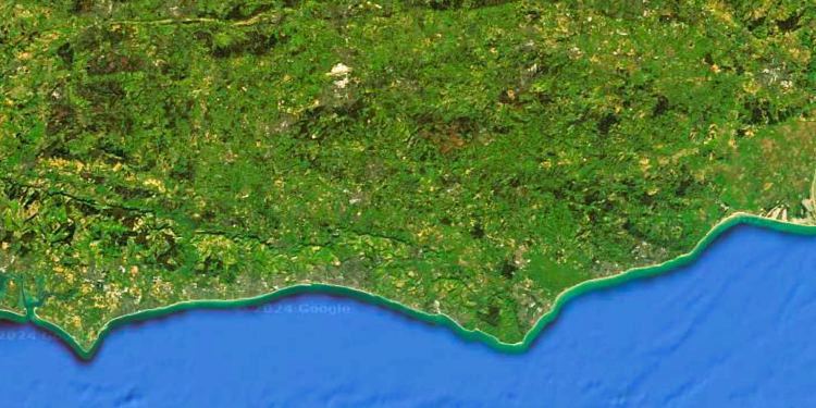 Top-tier Sussex councils push ahead with reorganisation plans which would see elections postponed and smaller councils scrapped