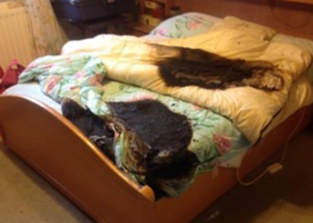 One in three electric blankets fail safety test, say fire chiefs