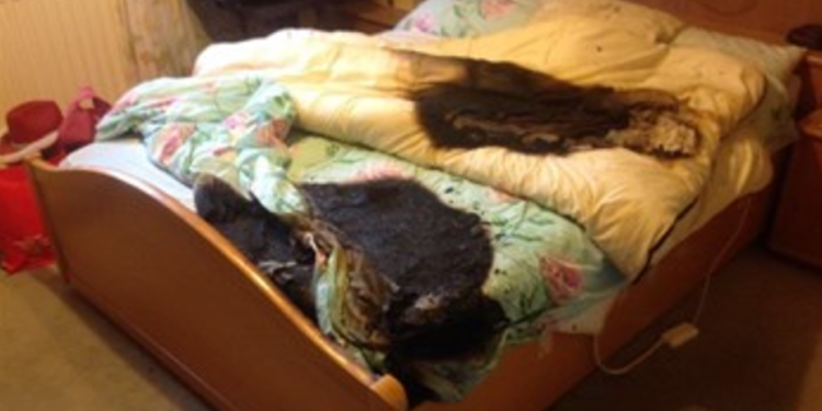 One in three electric blankets fail safety test, say fire chiefs