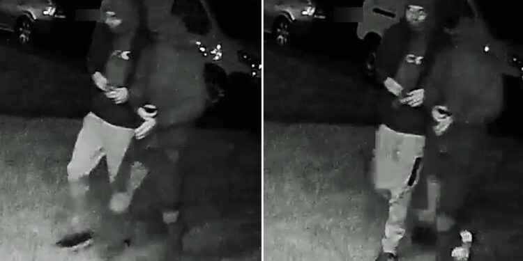 Arsonists put fireworks through letterbox