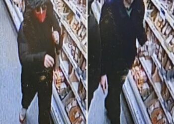 Shoplifters assault Good Samaritan