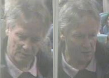 Detectives hunt man suspected of sex attack on train