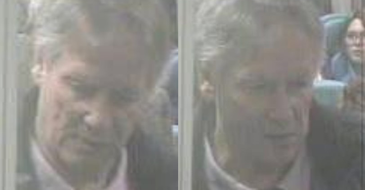 Detectives hunt man suspected of sex attack on train