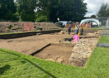 Grants sought to explore Norman park discovery