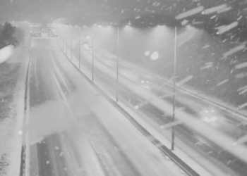 Snow blankets wide area of Sussex