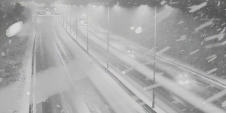 Snow blankets wide area of Sussex